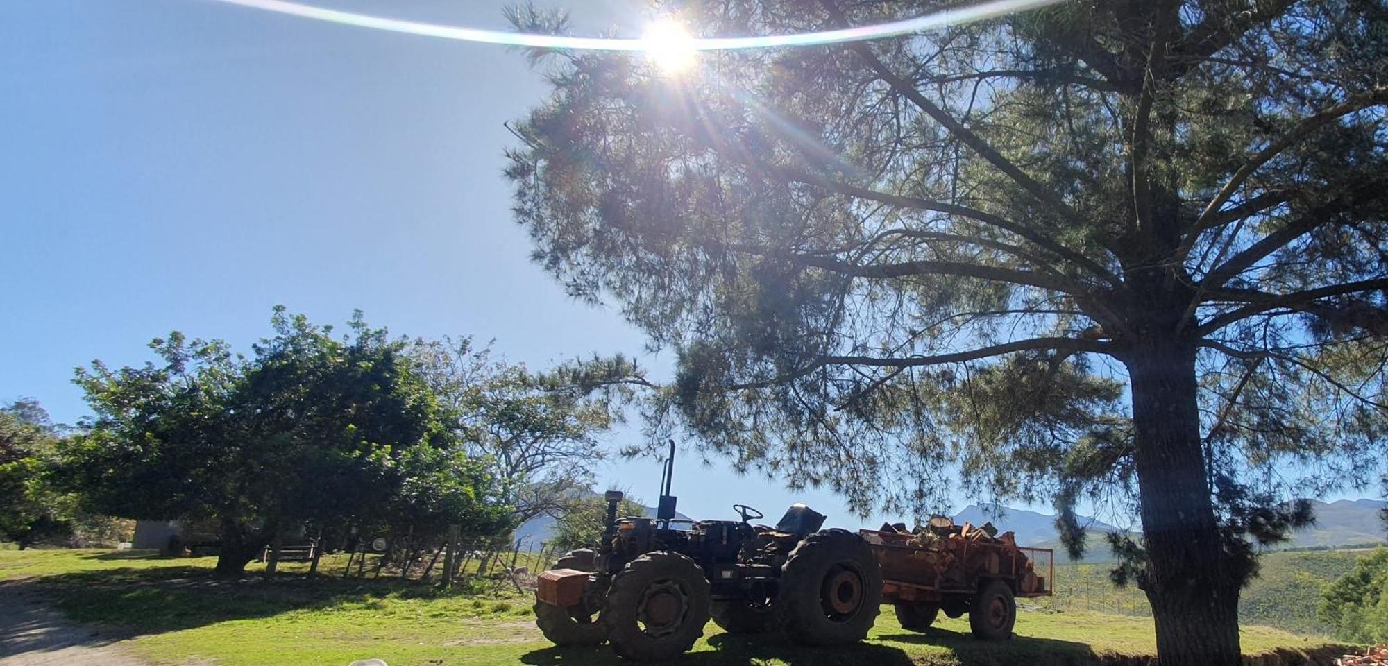 Summer Villa Mossel Bay Bagian luar foto
